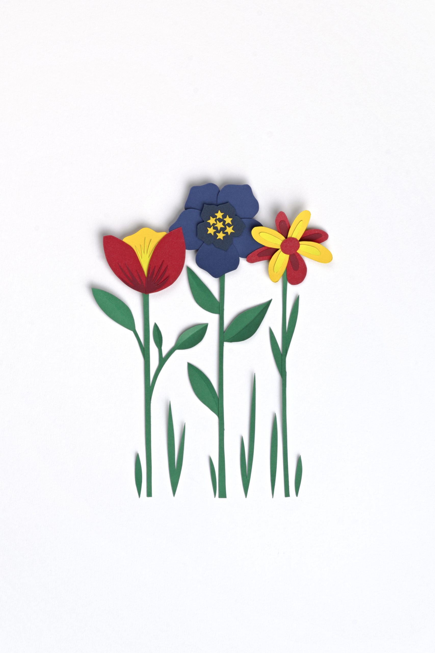 combate-ilustracion-portada-01 Flores en papercut para la ilustración de portada de Combate por la concordia