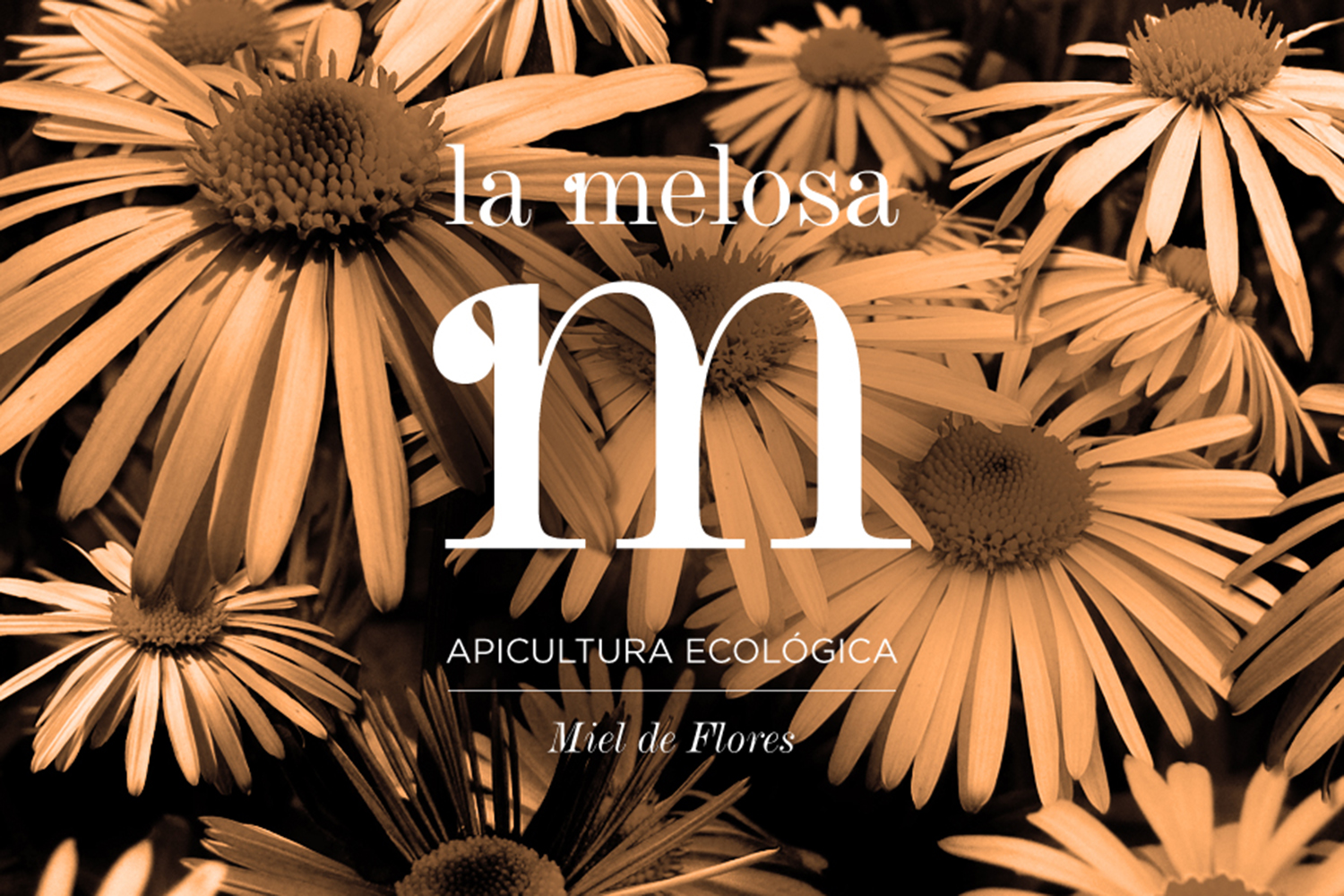 Imagen con aplicación del branding de La melosa