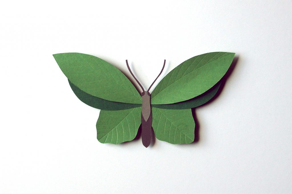 beacosto-ilustracion-conceptual-14 Ilustración conceptual de Bea Costo en papercut, mariposa con alas de hojas