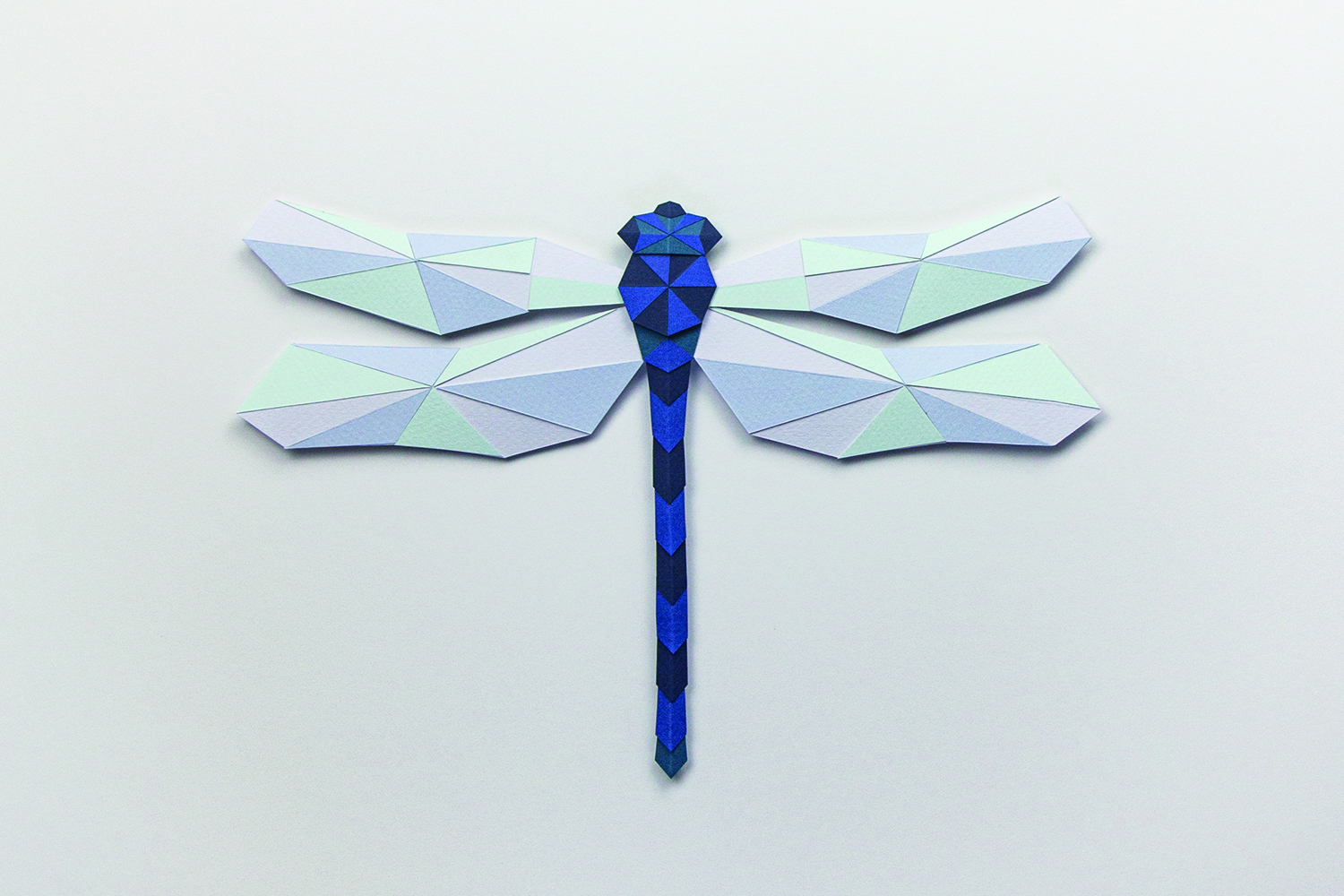 coleccion-miguel-aguerralde-portada-10 Ilustración de la portada de El sueño de la libélula